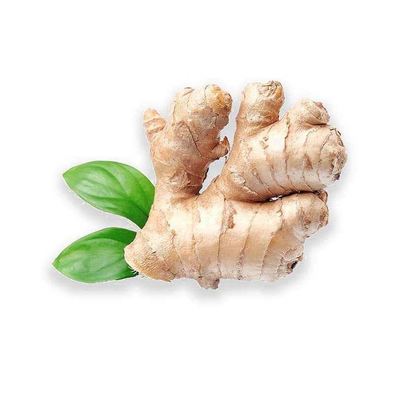 jamaica-ginger